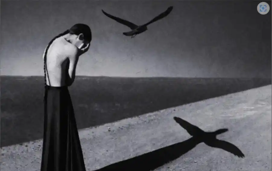 好书推荐|阿德勒《自卑与超越》:当你不在逃避自己,一切才真正的开始 好书推荐|阿德勒《自卑与超越》:当你不在逃避自己,一切才真正的开始